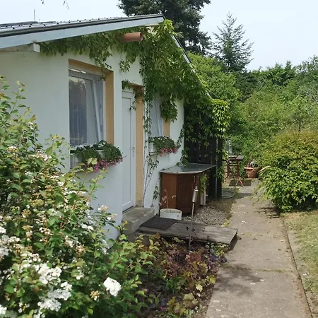 Garden Greenhouse * Bratislava