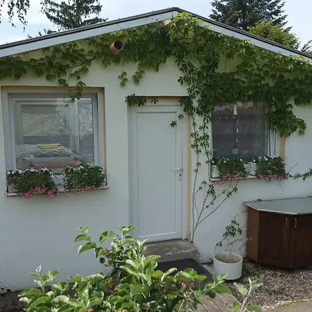 Luxury tent Garden Greenhouse